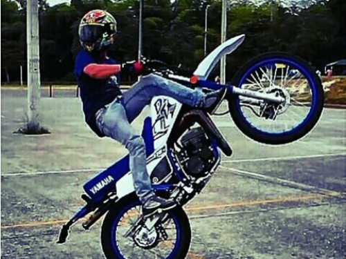 ronsl