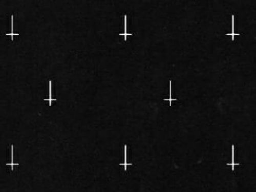 Galaxias