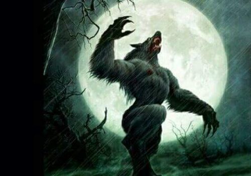 wolfgold