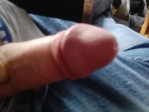 Systemfeind