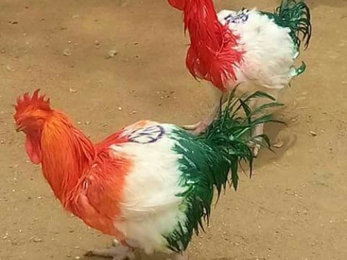 prakasharavind143