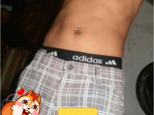 pedrinho22