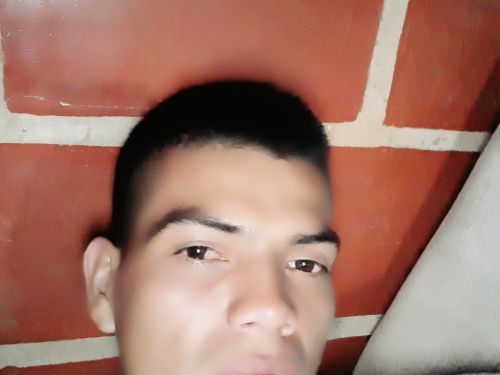 Eiderprado