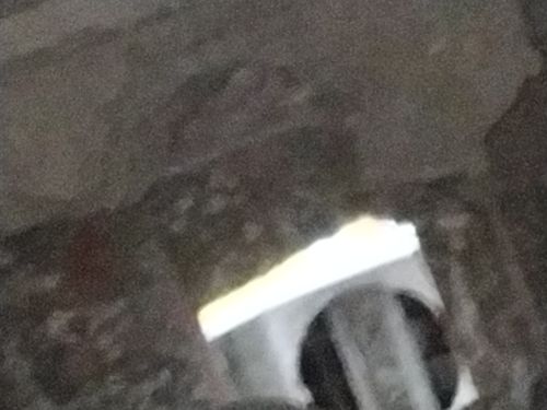 esposaycornudo