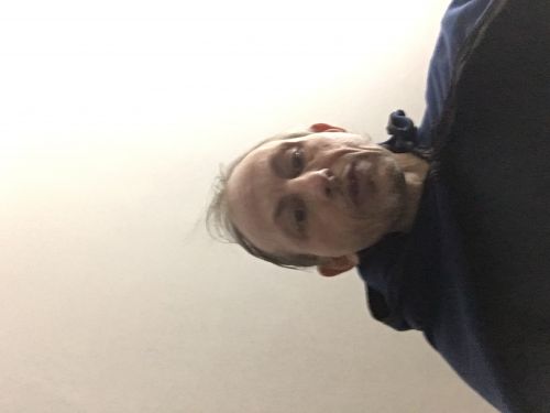 Ipig91